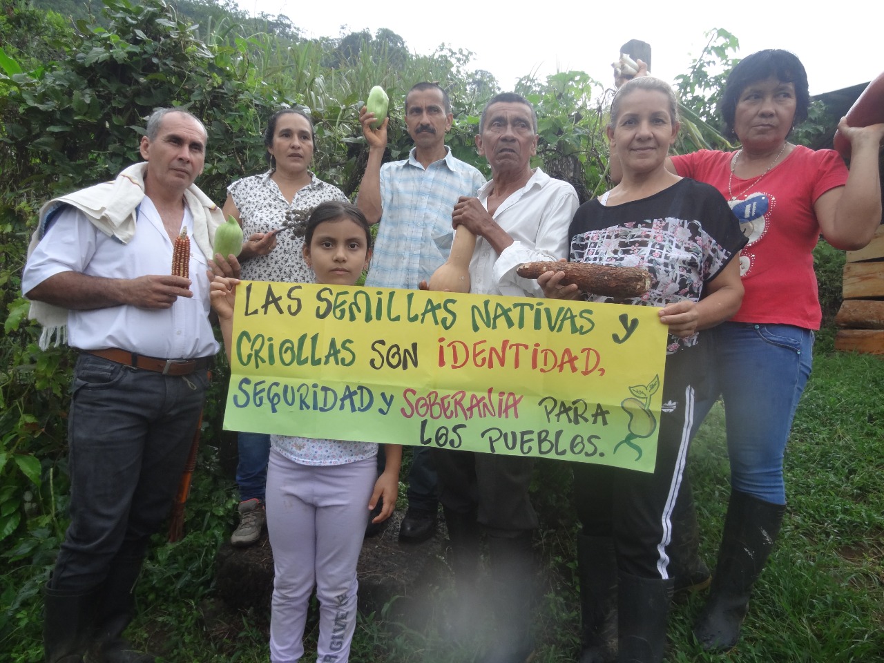 Frutos del Sínodo Amazónico Un estilo de vida en armonía con los