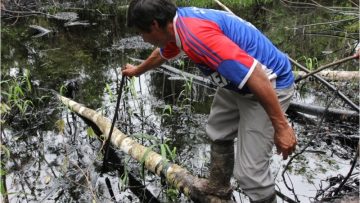 Las aflicciones del Marañón y el Urituyacu: gritos por la restauración integral
