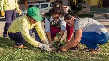 “Sembrando juntos”: Iglesia de Iquitos impulsa campaña para sembrar 5 000 plantones