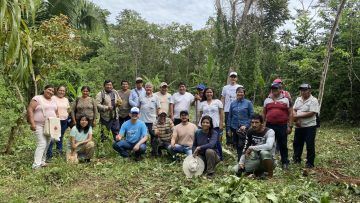 Tejiendo red para el desarrollo sostenible de la Amazonia