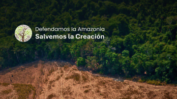 “Defendamos la Amazonía. Salvemos la Creación”: Lanzan campaña multimedia para proteger la Casa Común