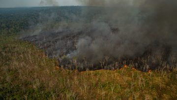 Incendios y sequías en la Amazonía: REPAM y CEAMA exigen acción urgente por la crisis ambiental