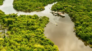 Agua, Vida y Sabiduría: el papel de la biodiversidad y la cultura amazónica en la preservación de los recursos hídricos