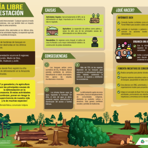 Infografía 'Amazonía libre de deforestación'