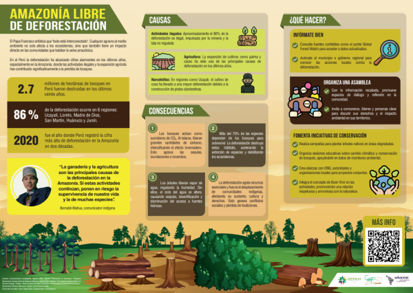 Infografía 'Amazonía libre de deforestación'
