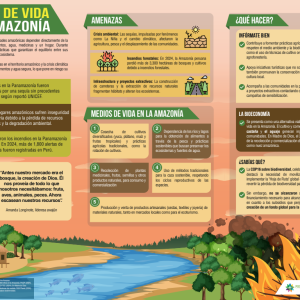 Infografía 'Fuentes de vida en la Amazonía'