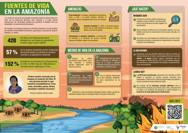 Infografía 'Fuentes de vida en la Amazonía'