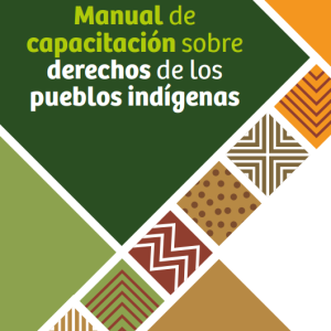 Manual de capacitación sobre derechos de los pueblos indígenas