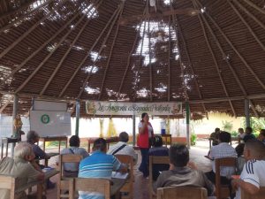 Veronica Shibuya, coordinadora de la region de Loreto del CAAAP, durante el taller "Criterios éticos para elegir a las nuevas autoridades".